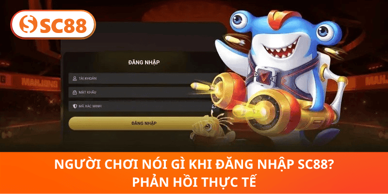 Người Chơi Nói Gì Khi Đăng Nhập SC88? Phản Hồi Thực Tế